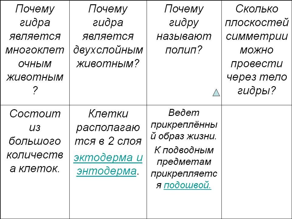 Кракен даркшоп