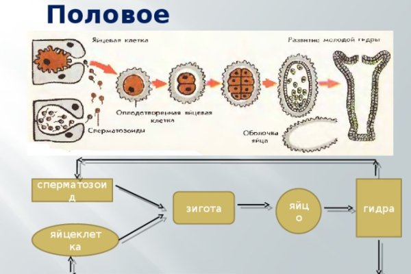 Кракен основная ссылка onion