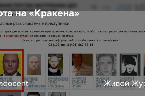 Рабочая ссылка на кракен в торе