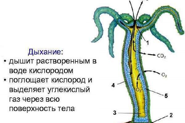 Открыть даркнет
