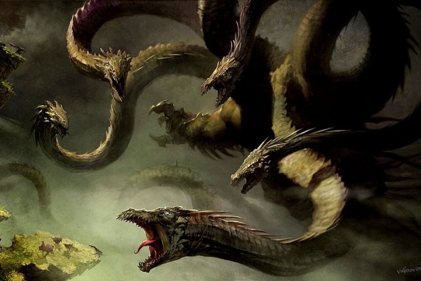 Kraken kraken link24 info