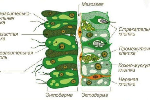 Кракен войти