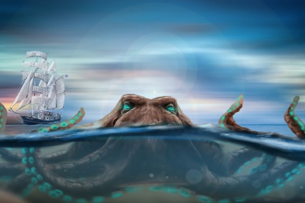 Kraken что это за магазин